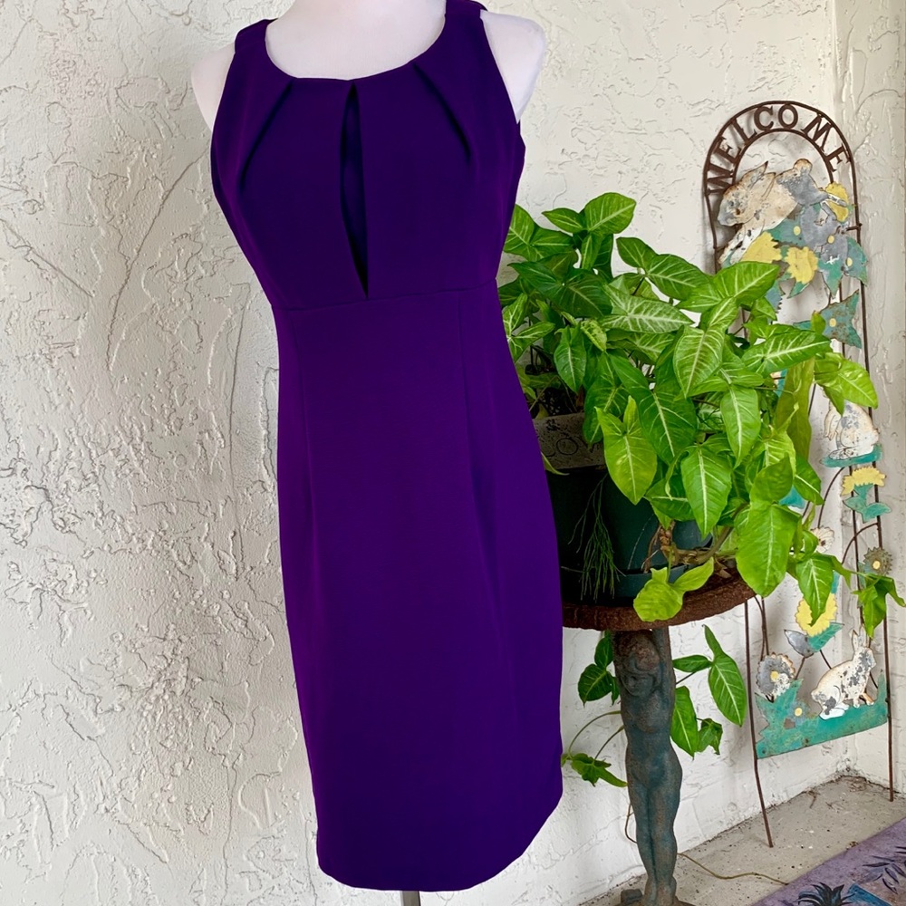 Amethyst KARIN STEVENS Empire Sleeveless Dress
